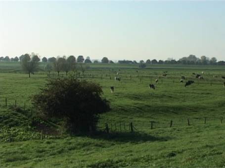 Kleve : NSG Salmorth